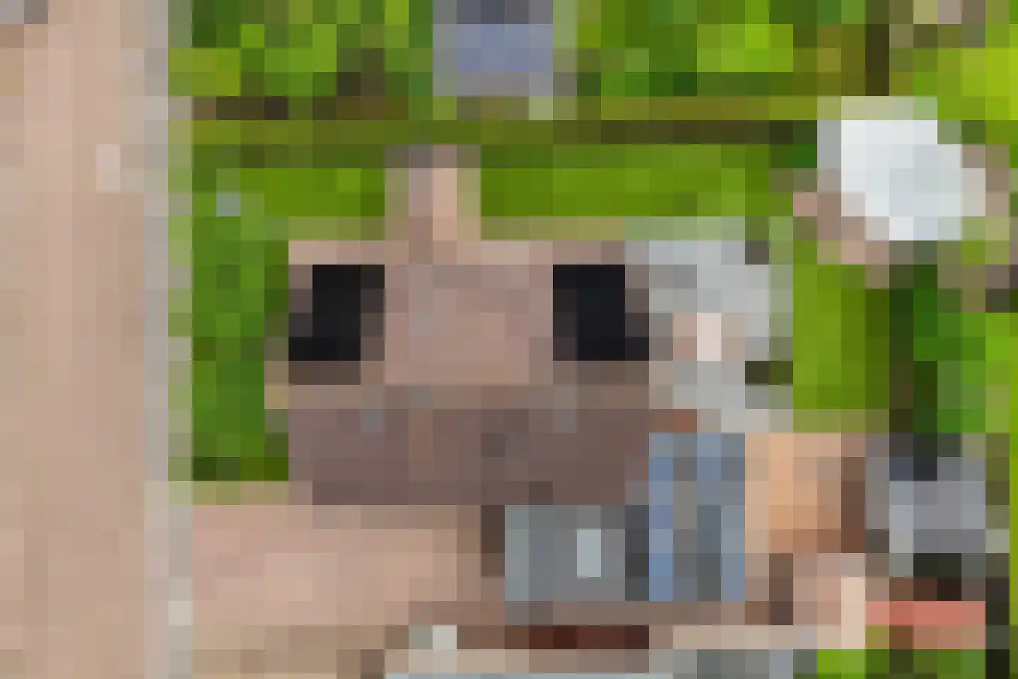 Pipegaal 5 Wommels thumbnail 51