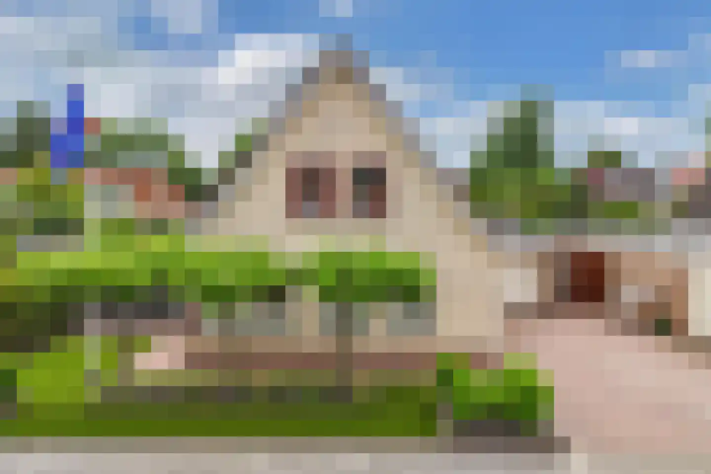 Pipegaal 5 Wommels thumbnail 52