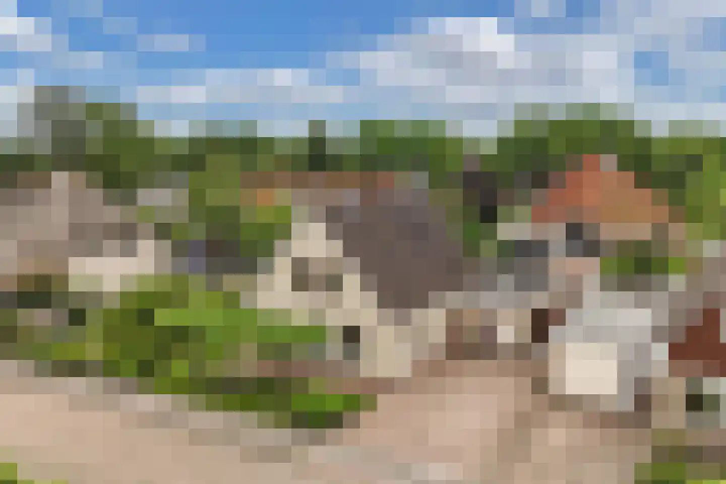 Pipegaal 5 Wommels thumbnail 53
