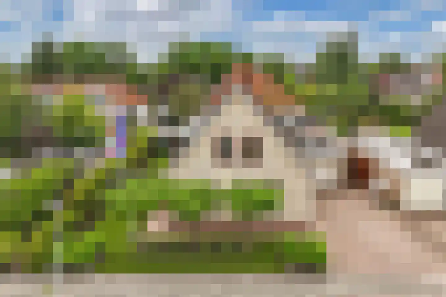 Pipegaal 5 Wommels thumbnail 54