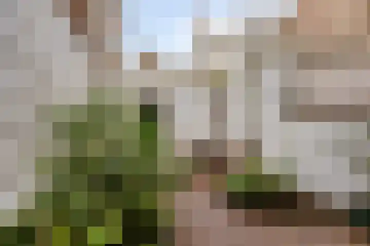 Pipegaal 9 Oudehaske