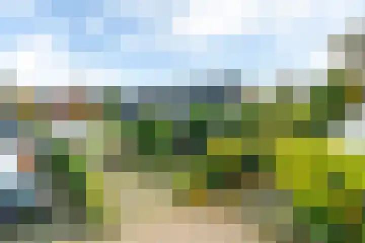 Pipegaal 9 Oudehaske thumbnail 11