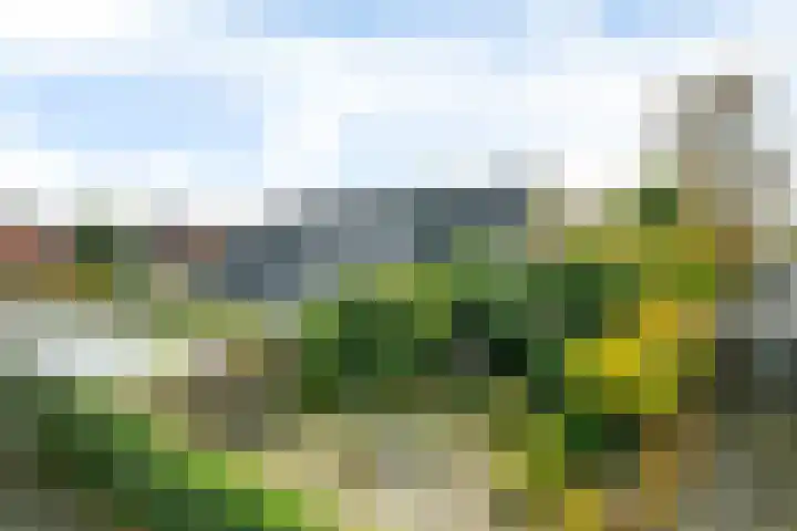 Pipegaal 9 Oudehaske thumbnail 12