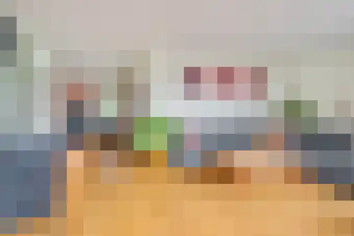 Pipegaal 9 Oudehaske thumbnail 19