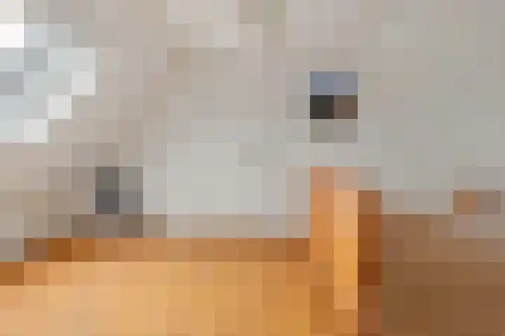 Pipegaal 9 Oudehaske thumbnail 38