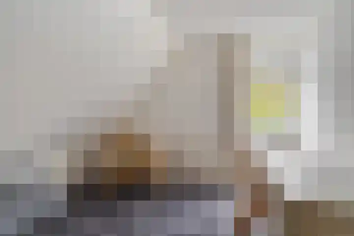 Pipegaal 9 Oudehaske thumbnail 41