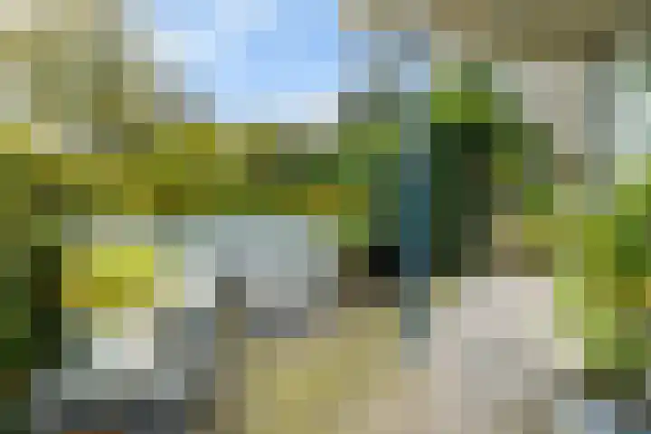 Pipegaal 9 Oudehaske thumbnail 53