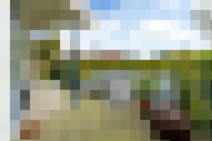 Pipegaal 9 Oudehaske thumbnail 54