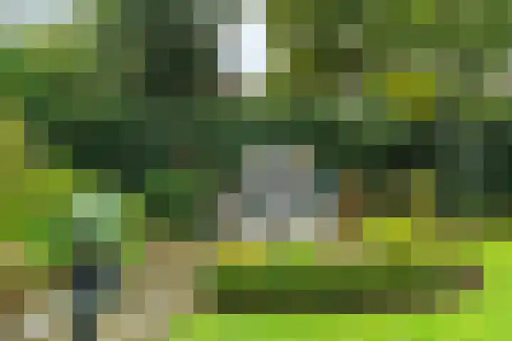 Pipegaal 9 Oudehaske thumbnail 55