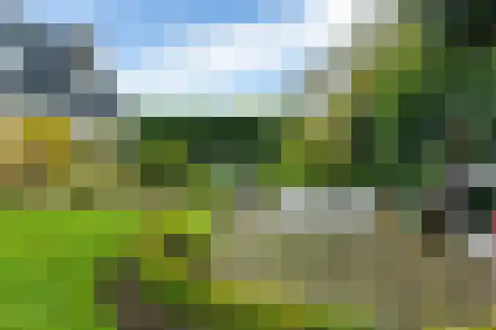Pipegaal 9 Oudehaske thumbnail 56