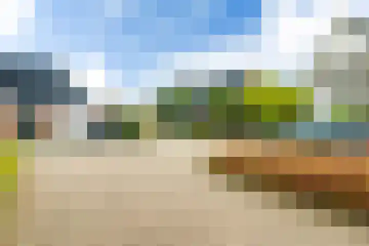 Pipegaal 9 Oudehaske thumbnail 60