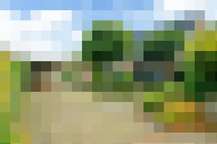 Pipegaal 9 Oudehaske thumbnail 9