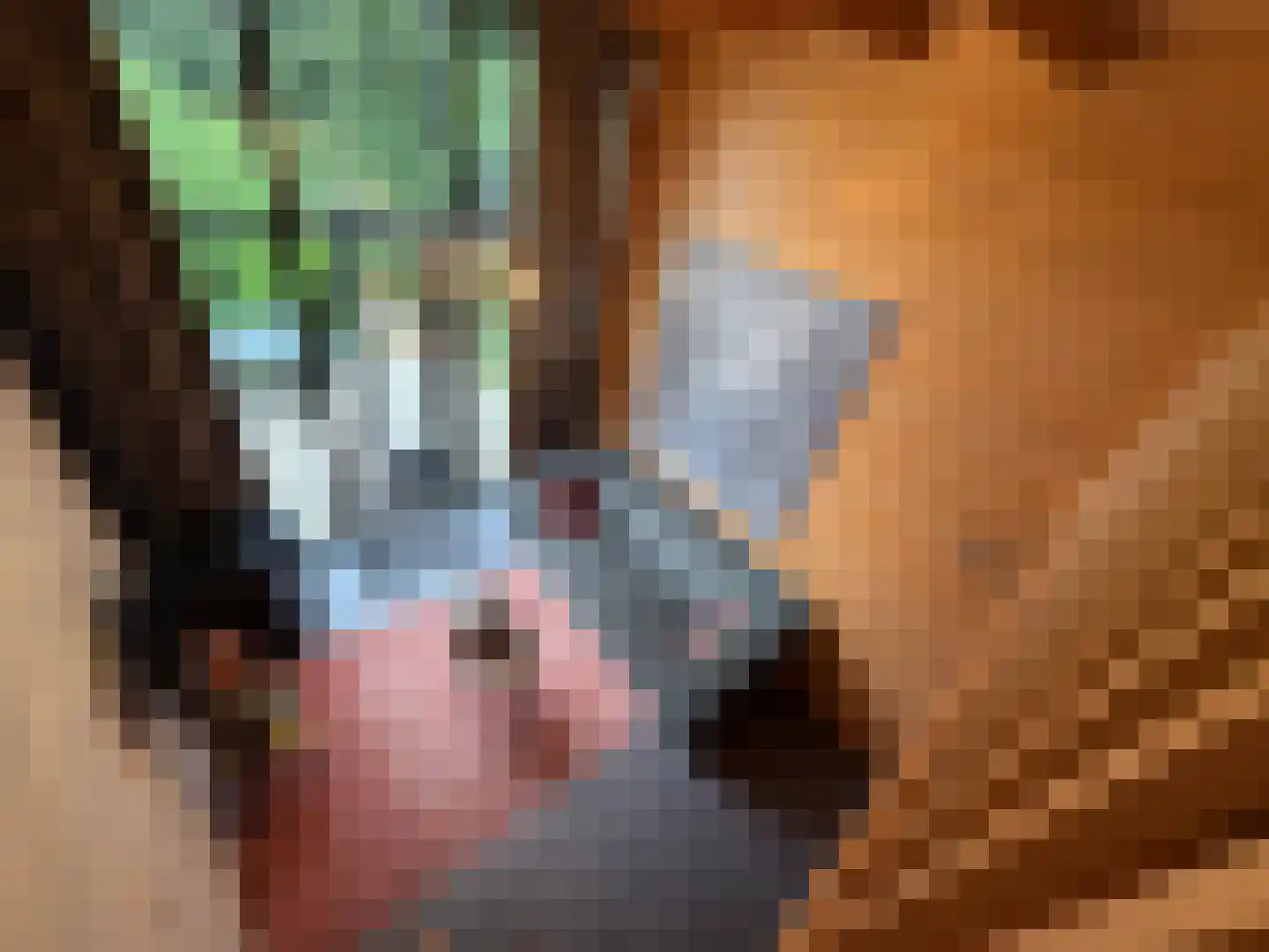 Pipeluurseweg 8 429 Olburgen thumbnail 10