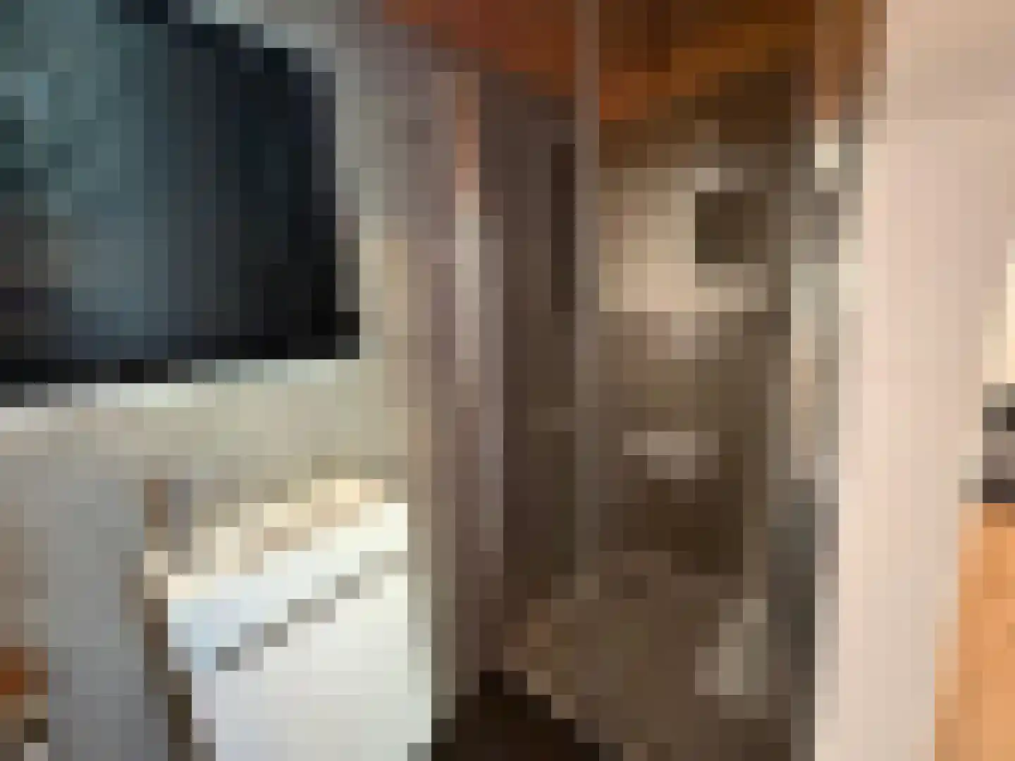 Pipeluurseweg 8 429 Olburgen thumbnail 7