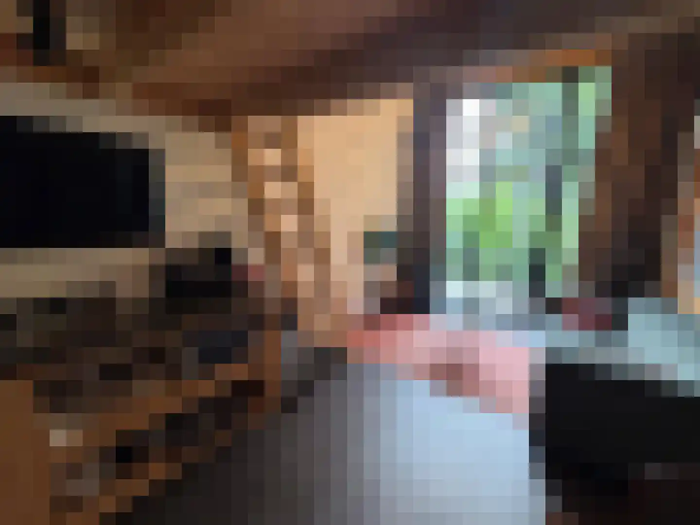 Pipeluurseweg 8 429 Olburgen thumbnail 8