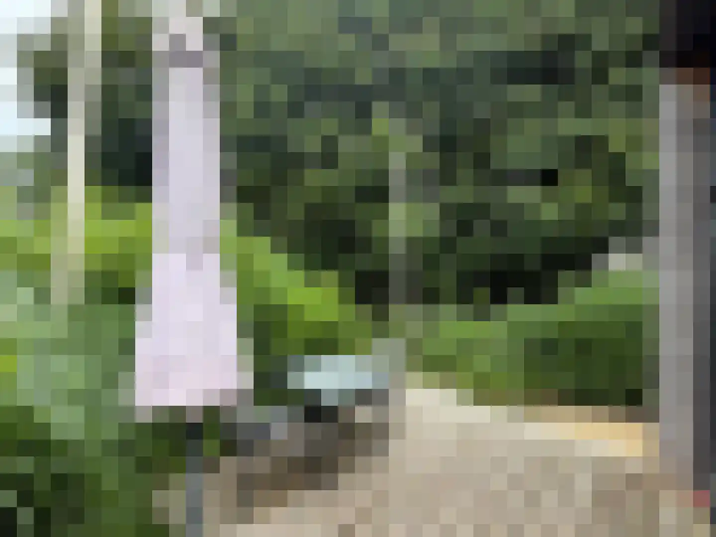 Pipeluurseweg 8 D 13 Olburgen thumbnail 11