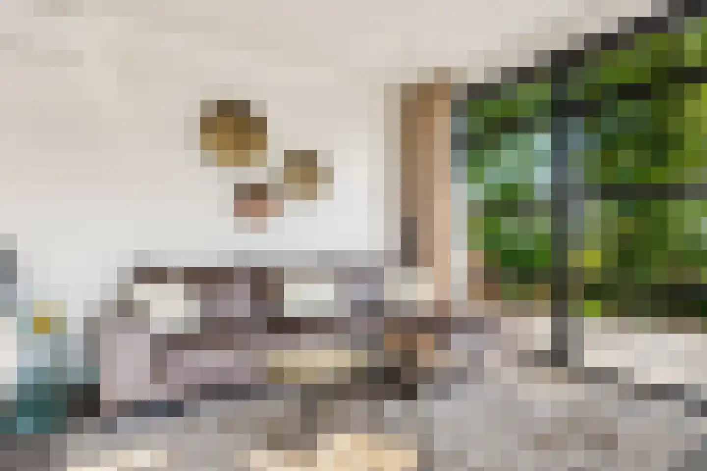 Pipeluurseweg 8 D 13 Olburgen thumbnail 15