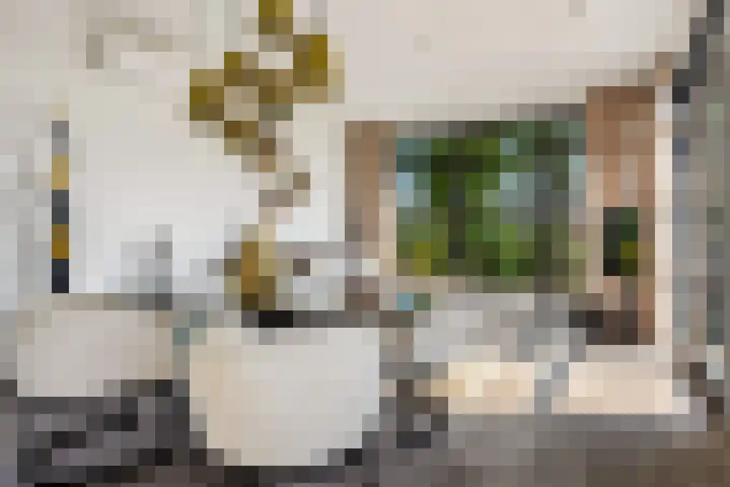 Pipeluurseweg 8 D 13 Olburgen thumbnail 18