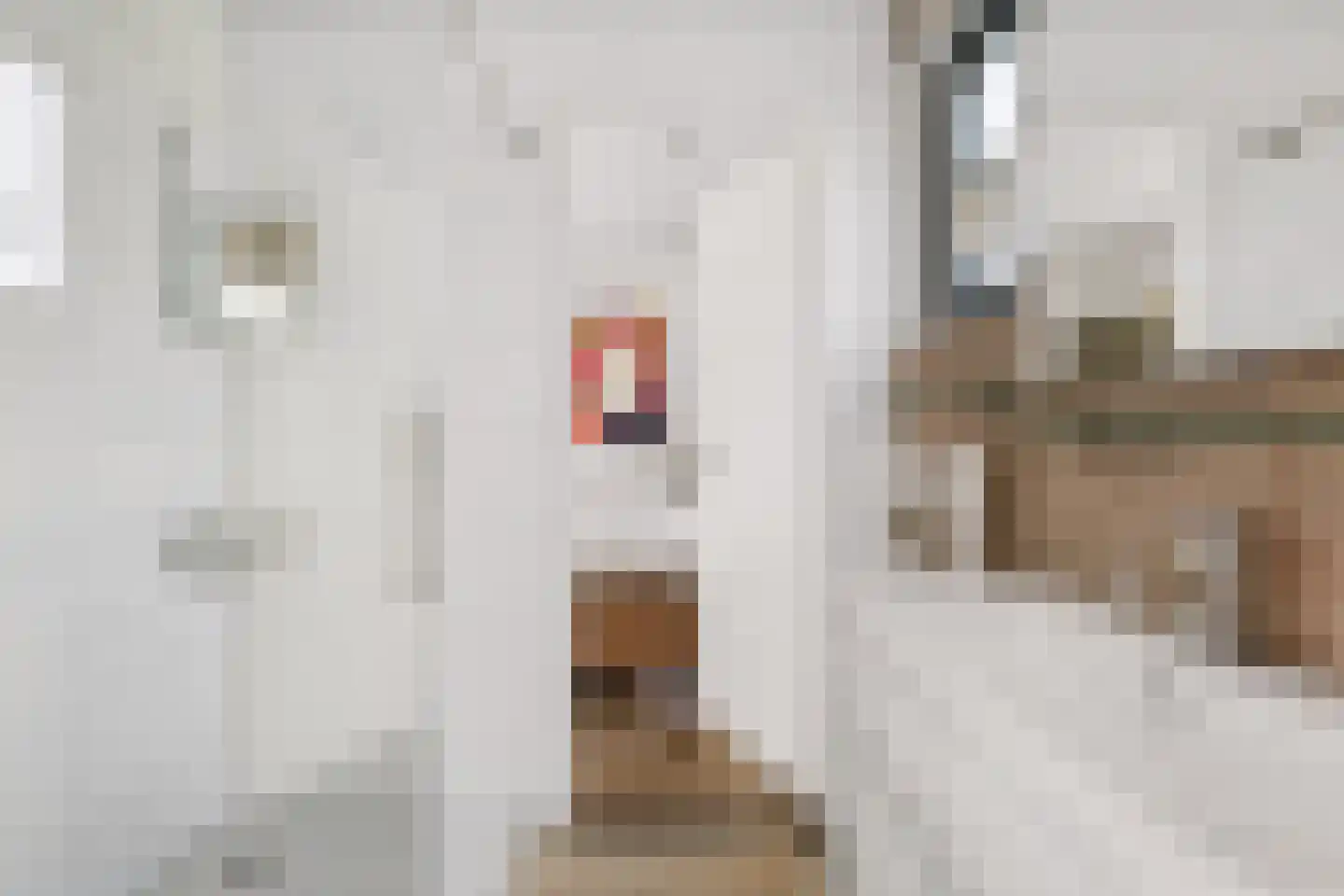 Pipeluurseweg 8 D 13 Olburgen thumbnail 31