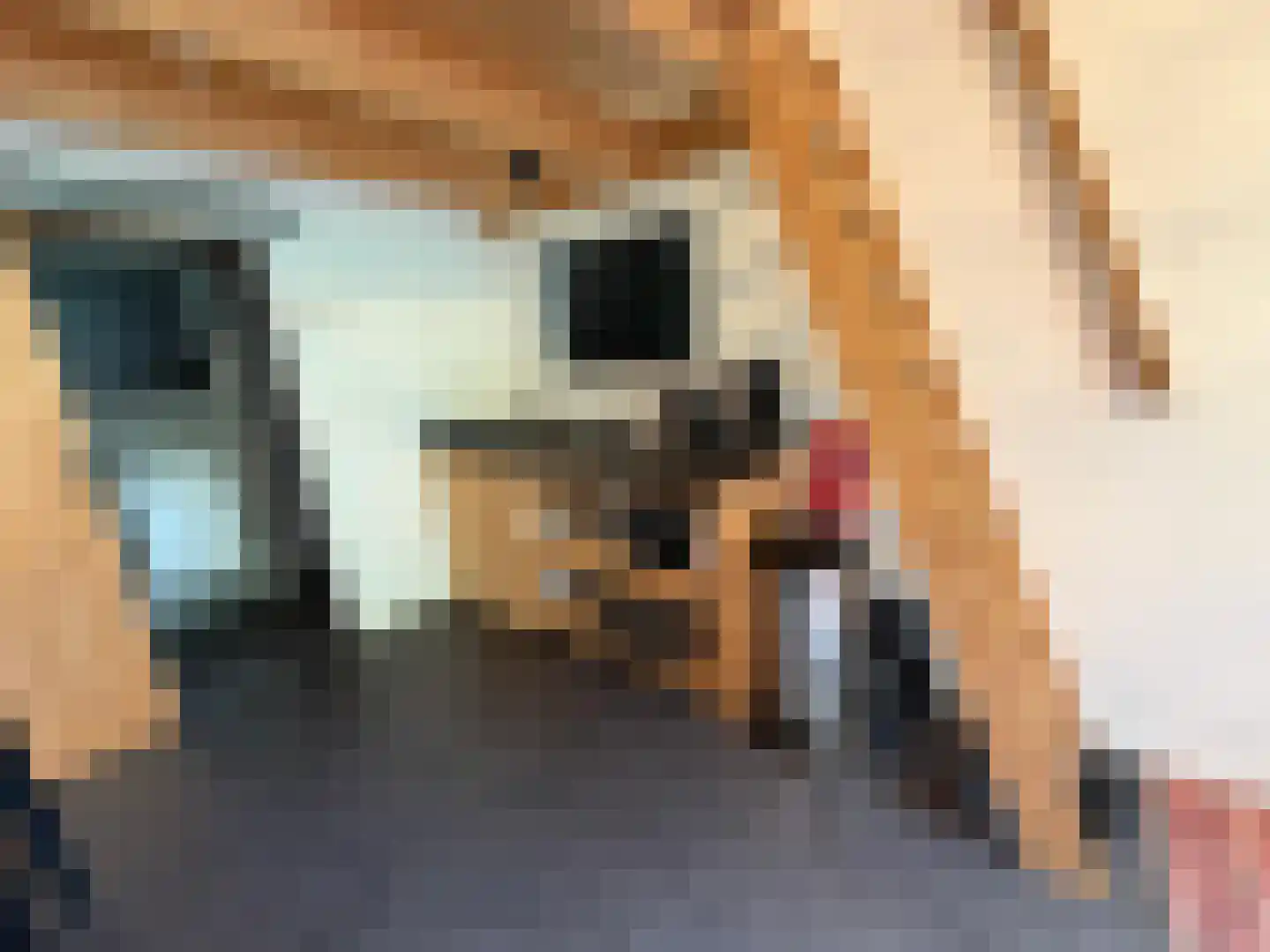Pipeluurseweg 8 D 13 Olburgen thumbnail 4