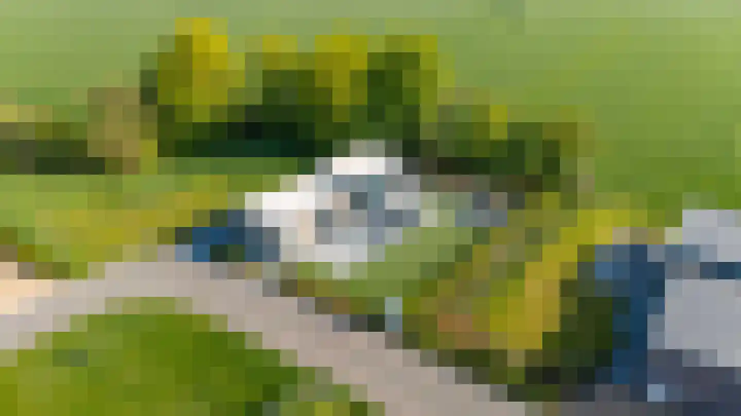 Pipeluurseweg 8 D 13 Olburgen thumbnail 51