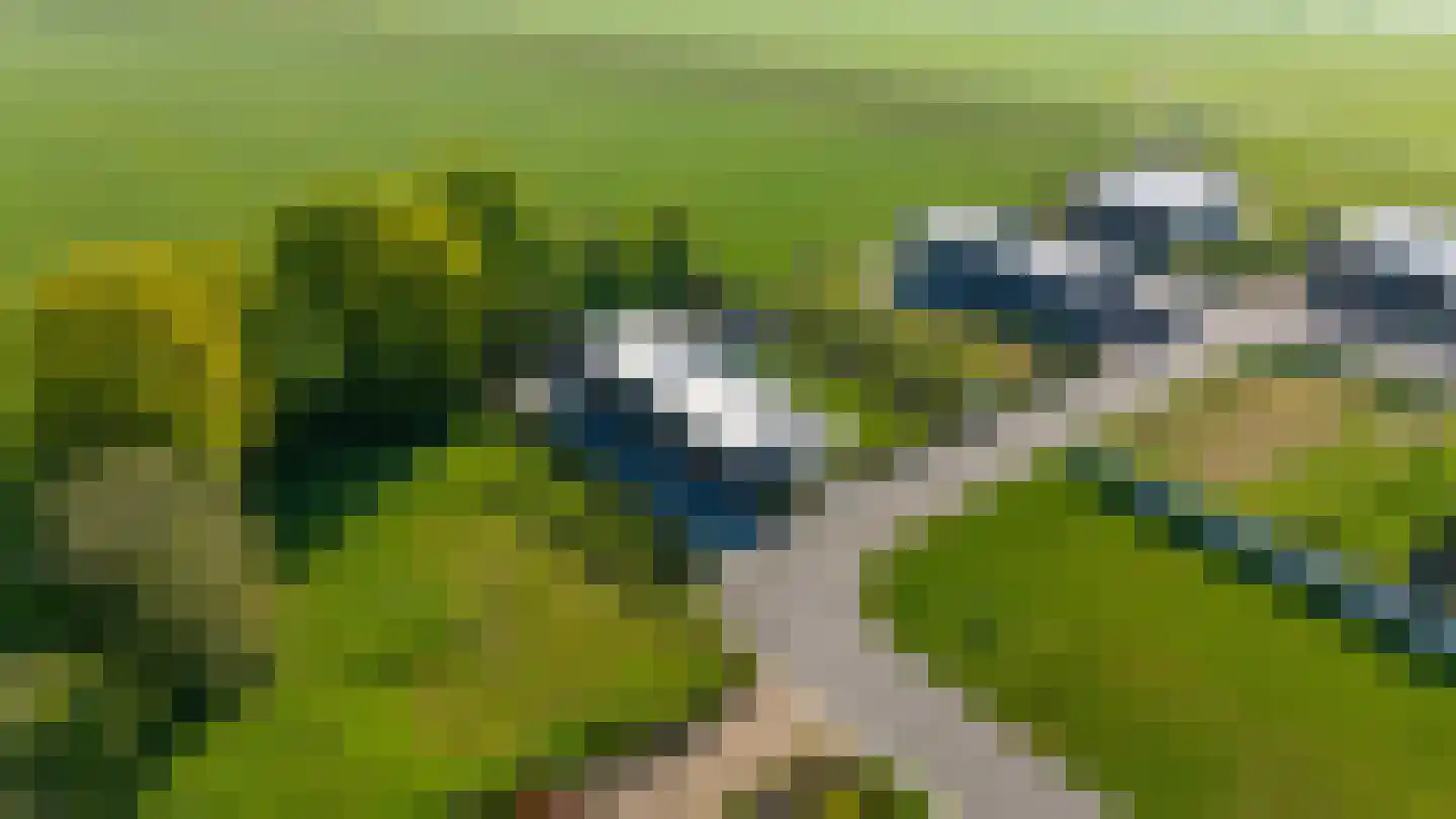 Pipeluurseweg 8 D 13 Olburgen thumbnail 52