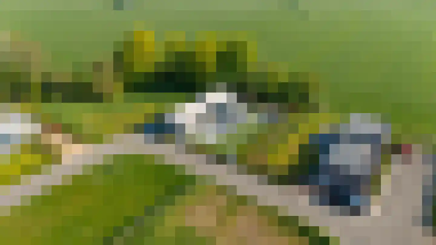 Pipeluurseweg 8 D 13 Olburgen thumbnail 53