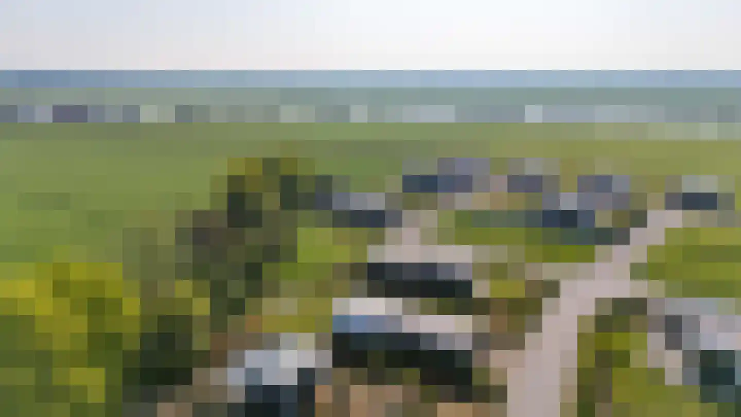Pipeluurseweg 8 D 13 Olburgen thumbnail 54