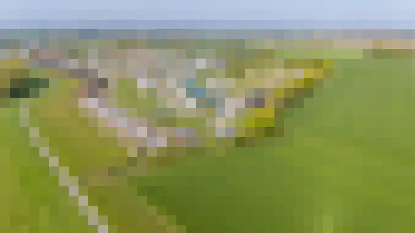 Pipeluurseweg 8 D 13 Olburgen thumbnail 55