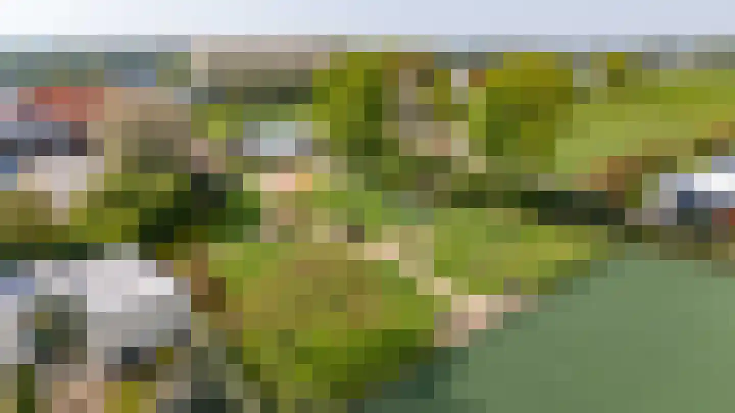 Pipeluurseweg 8 D 13 Olburgen thumbnail 59