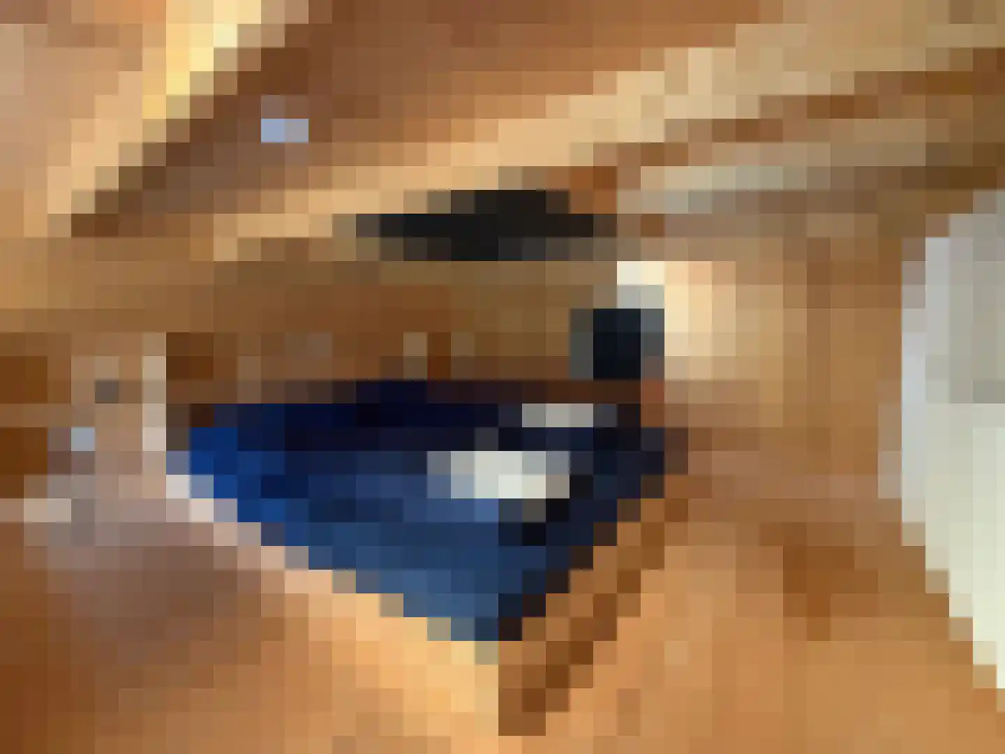 Pipeluurseweg 8 D 13 Olburgen thumbnail 9