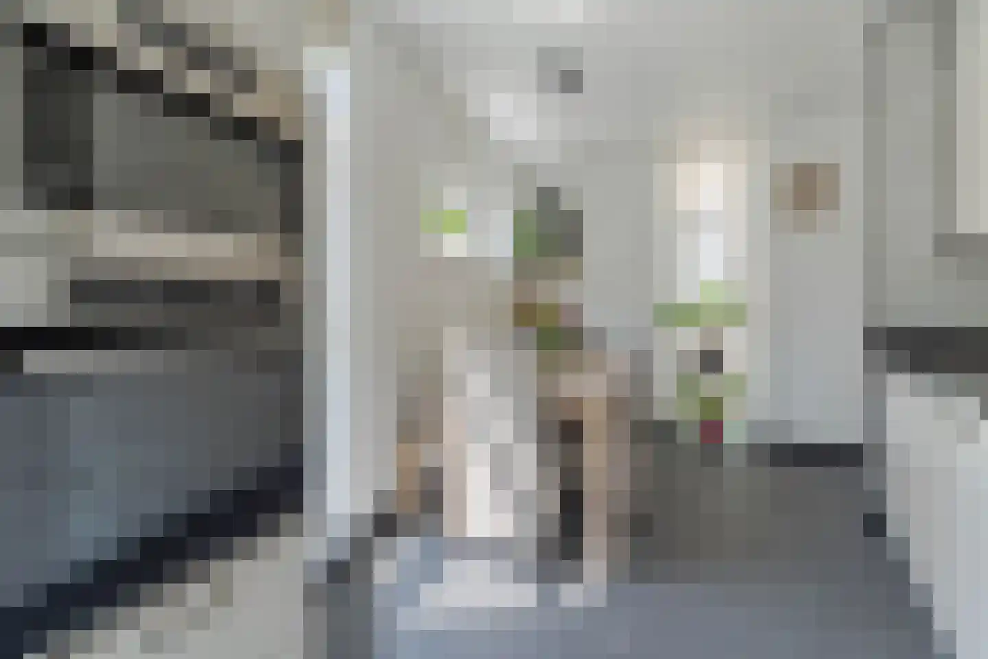 Pippeling 28 Boskoop thumbnail 10