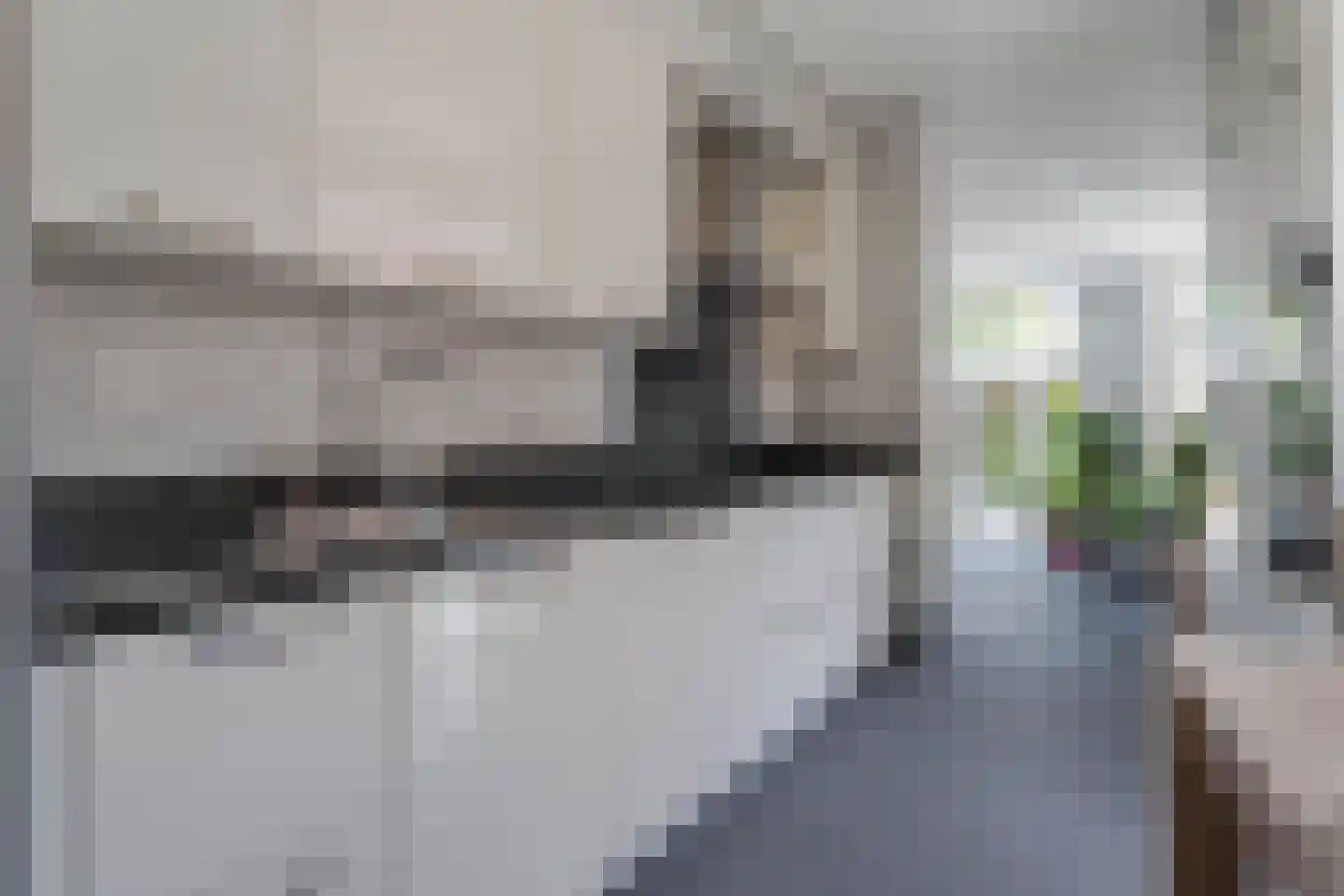 Pippeling 28 Boskoop thumbnail 11