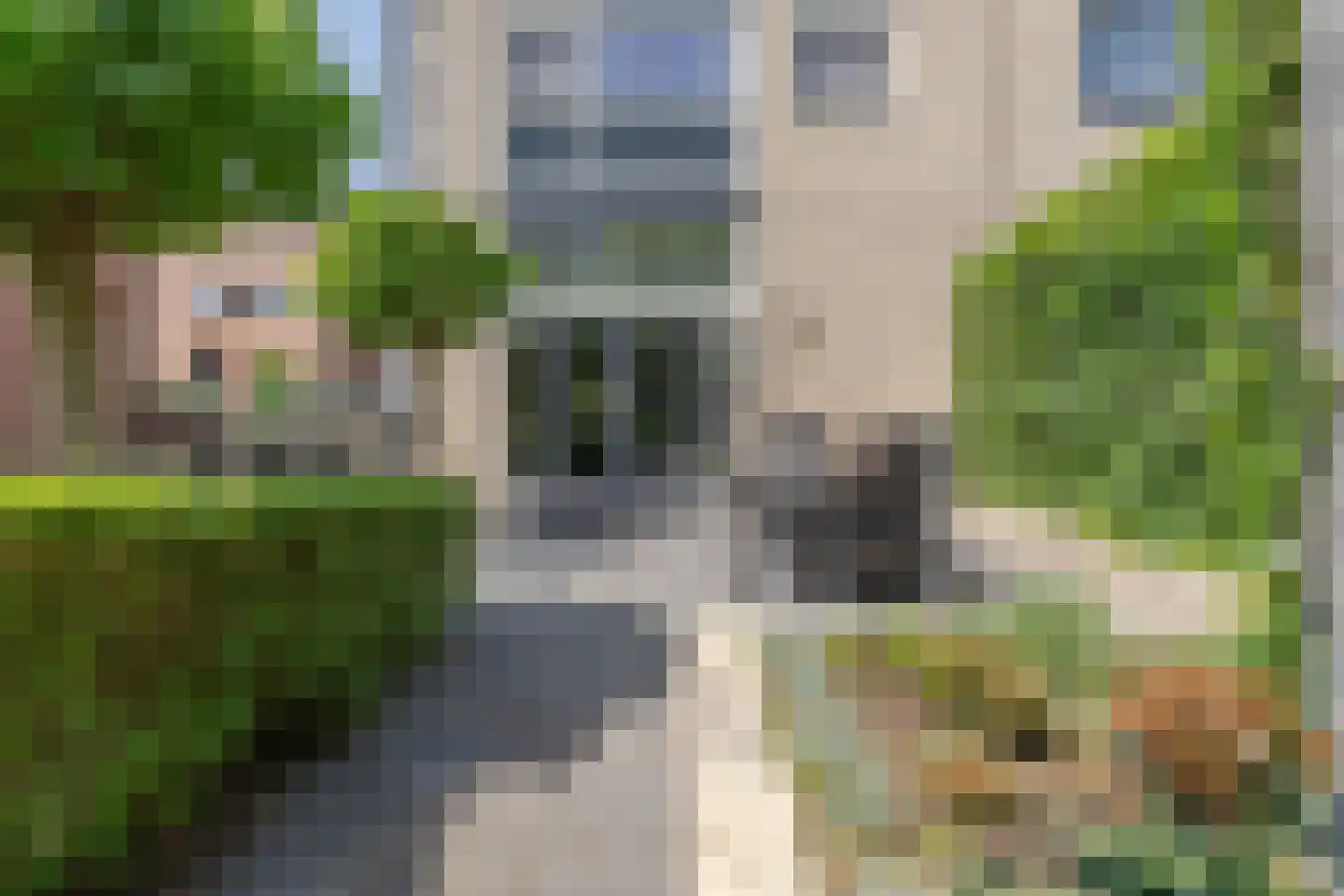 Pippeling 28 Boskoop thumbnail 13
