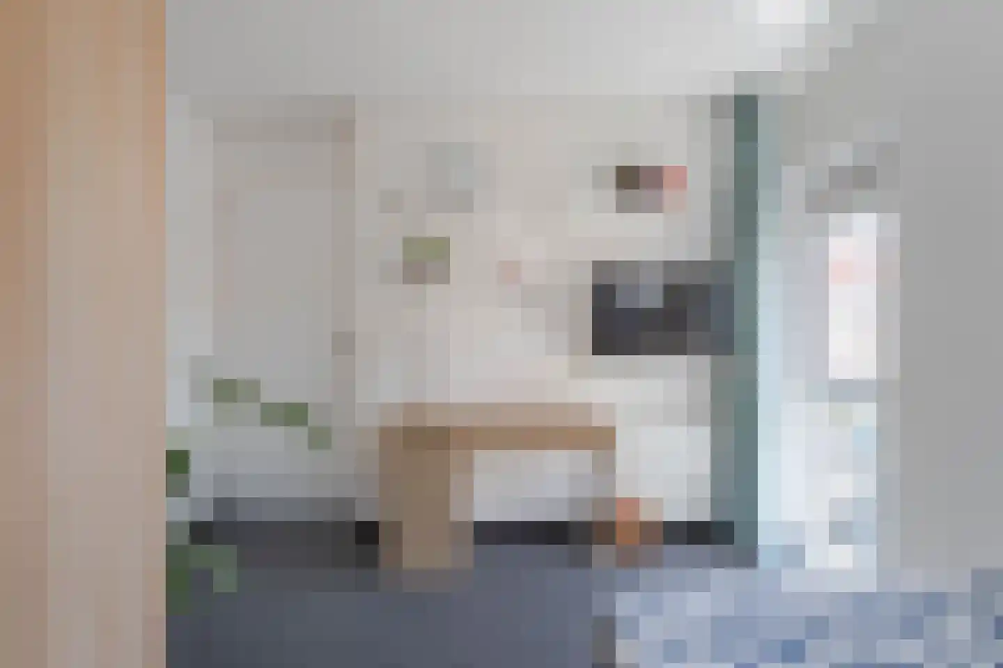 Pippeling 28 Boskoop thumbnail 18