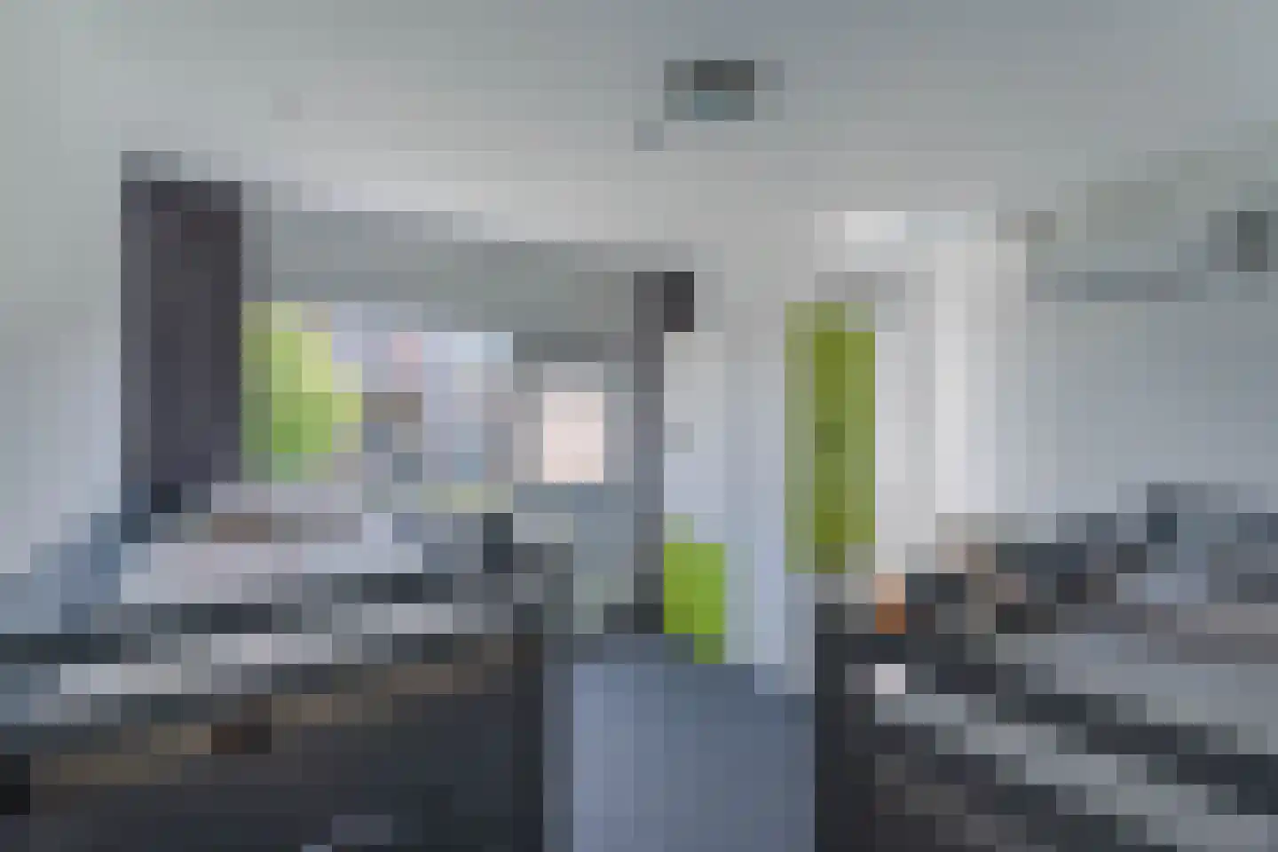 Pippeling 28 Boskoop thumbnail 20