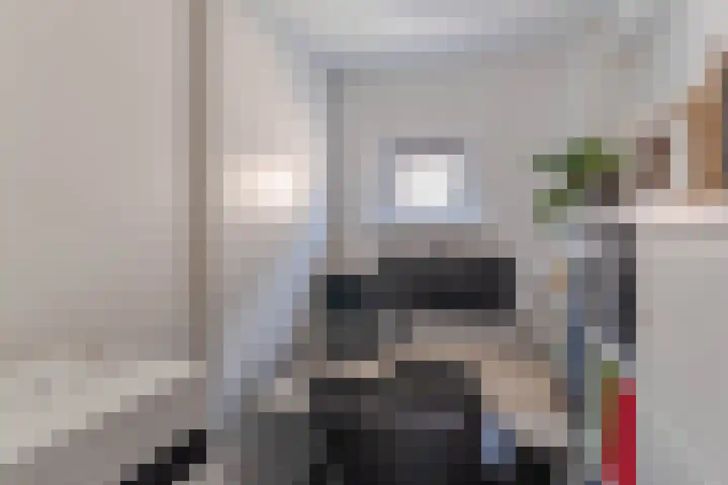 Pippeling 28 Boskoop thumbnail 22
