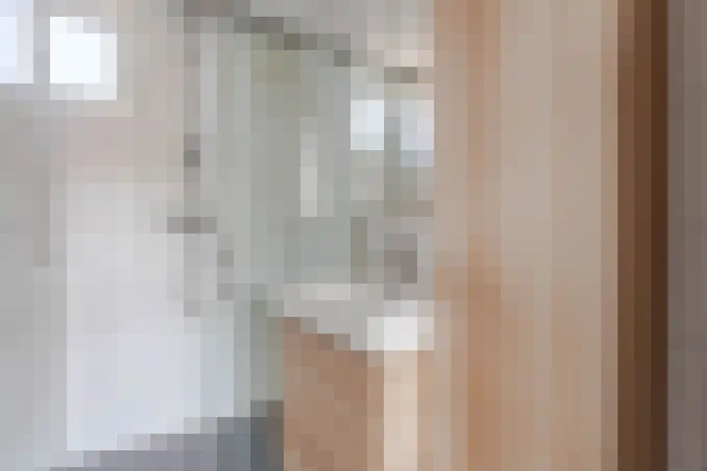 Pippeling 28 Boskoop thumbnail 26