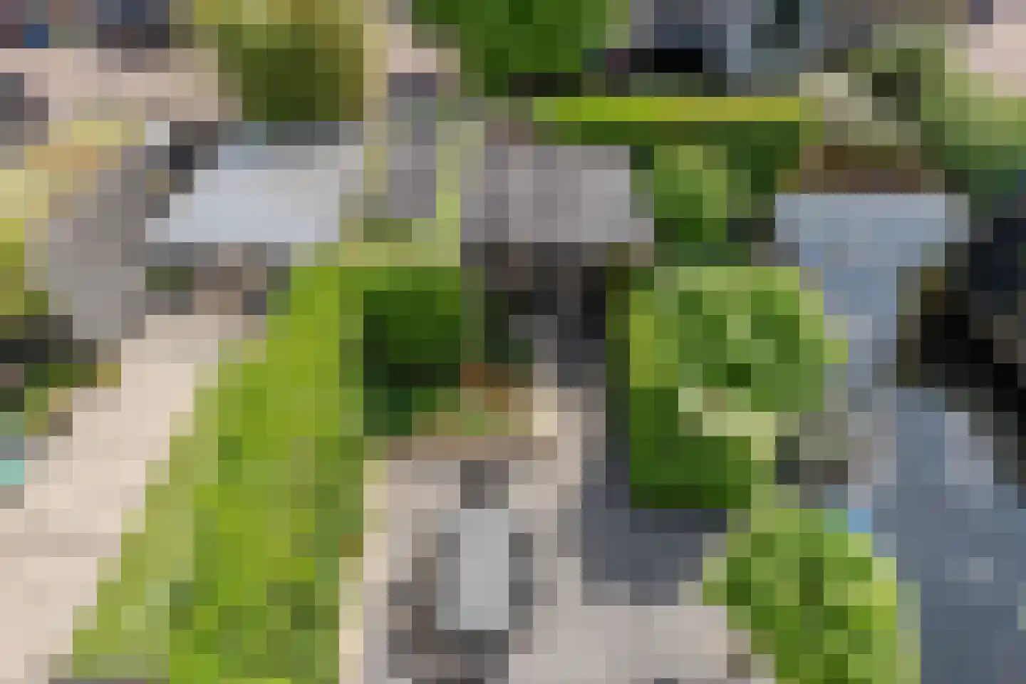 Pippeling 28 Boskoop thumbnail 29