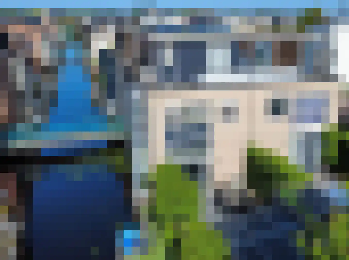 Pippeling 28 Boskoop thumbnail 30
