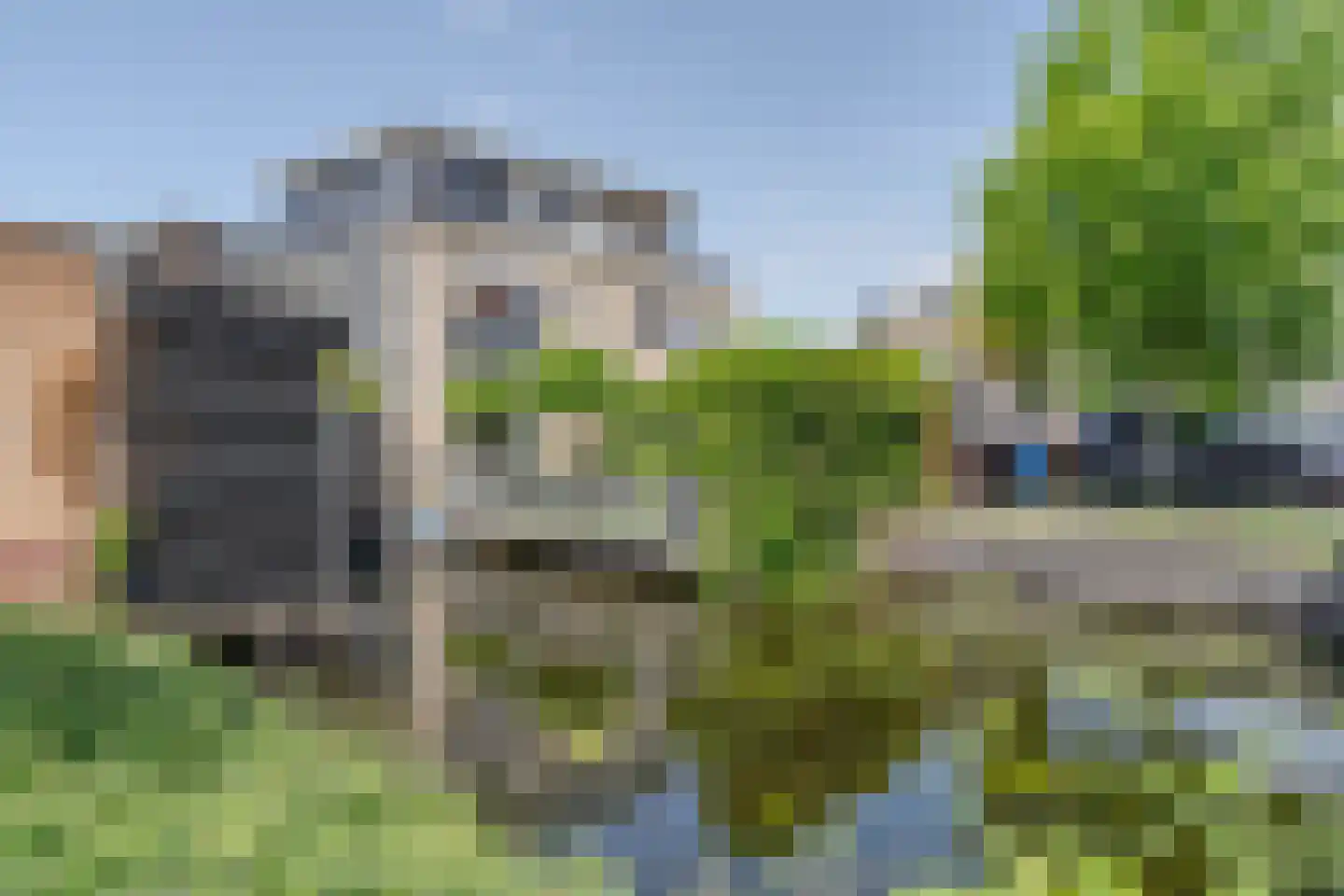 Pippeling 28 Boskoop thumbnail 31