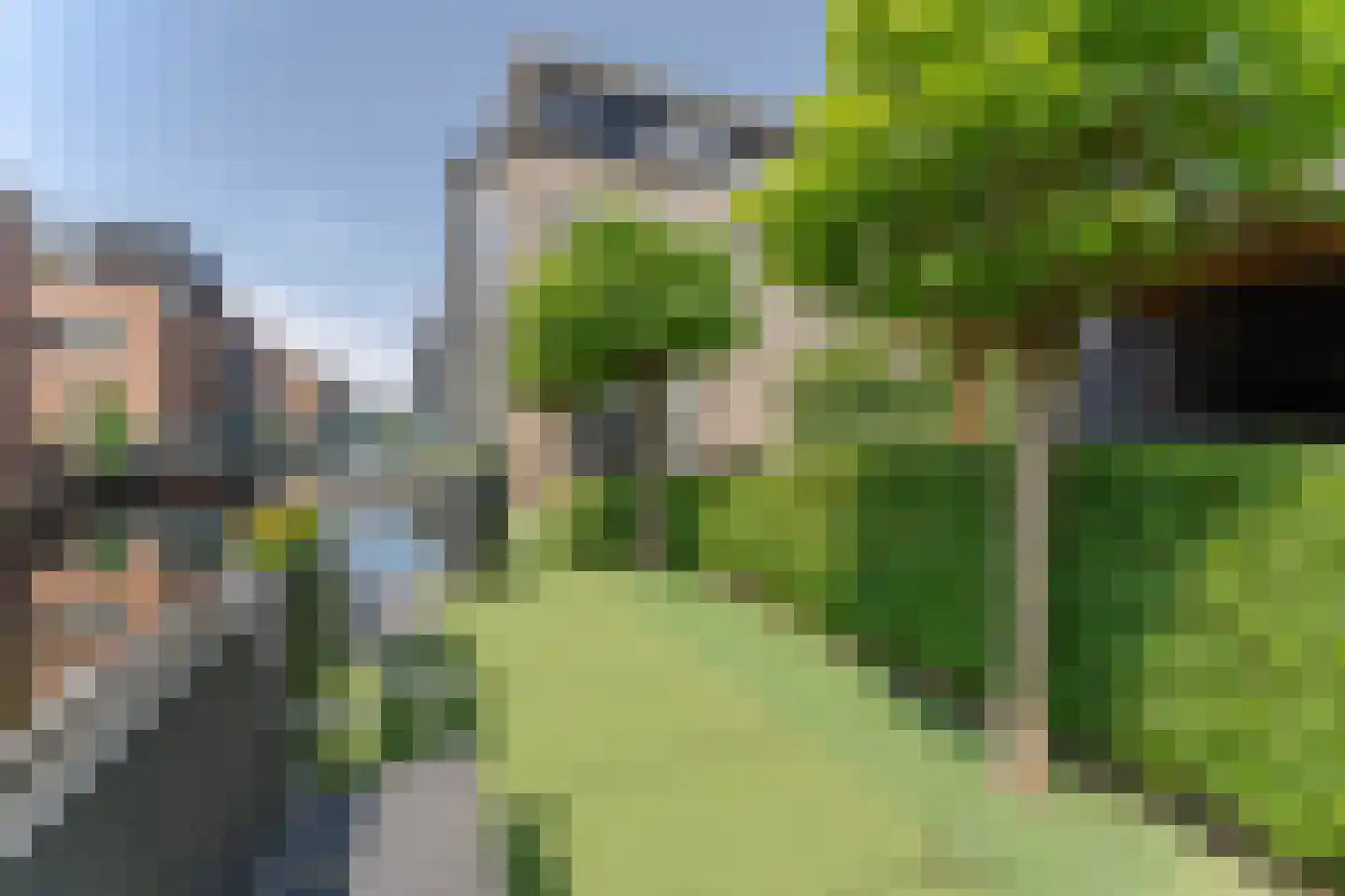 Pippeling 28 Boskoop thumbnail 4