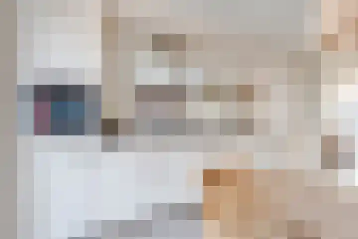 Pippeling 46 Boskoop thumbnail 11