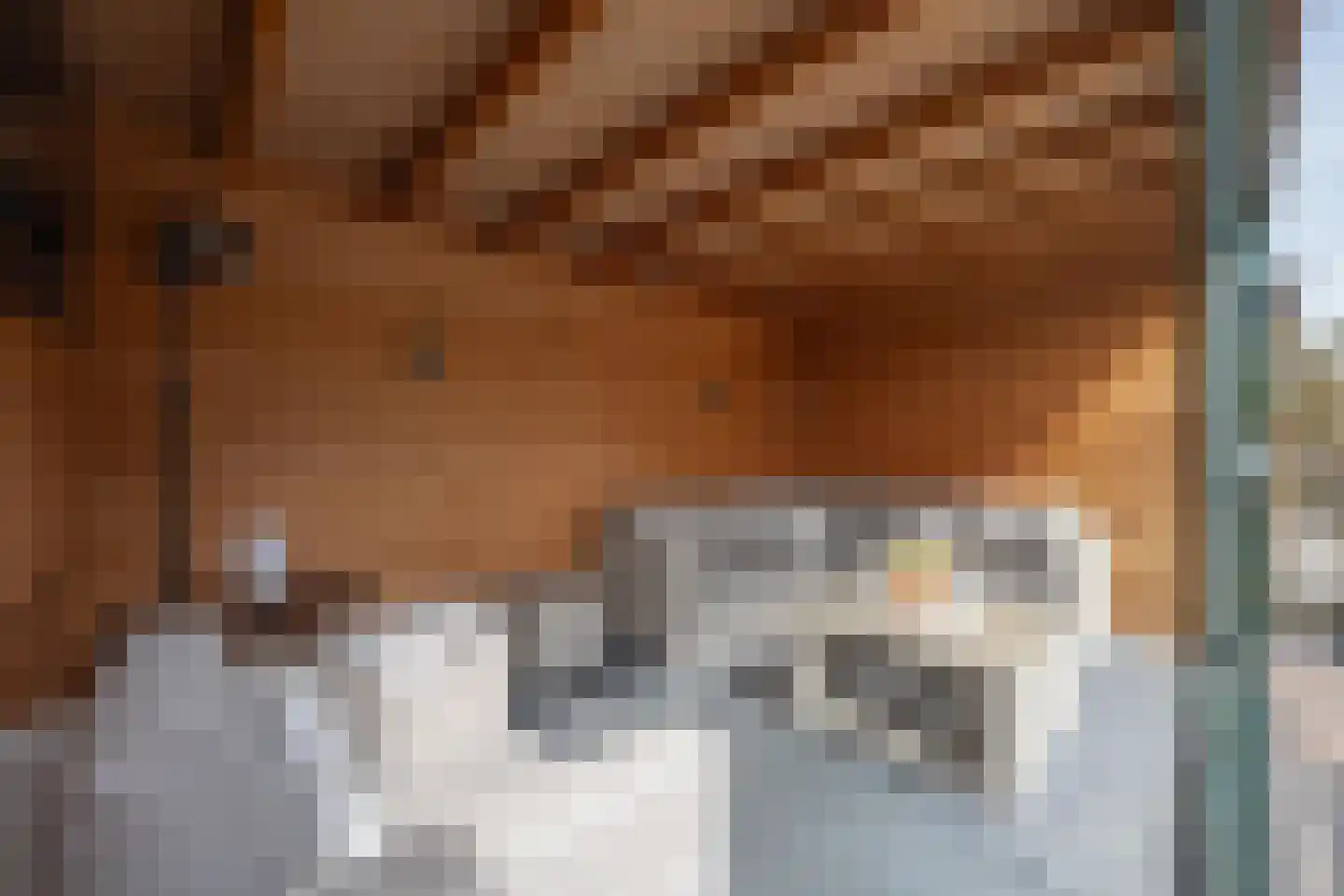Pippelinghof 1 Maurik thumbnail 29