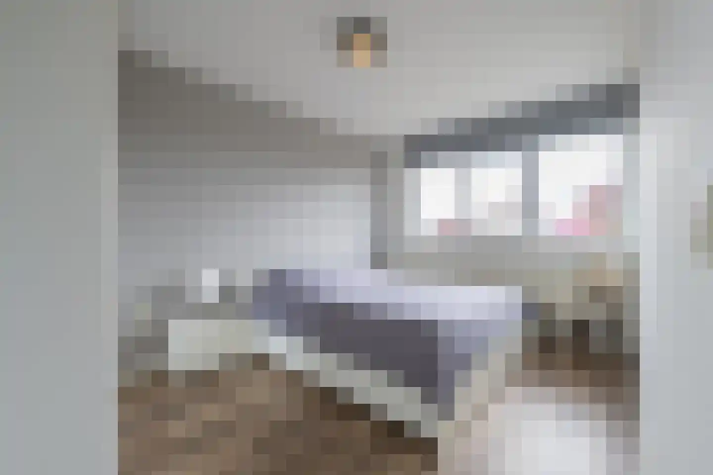 Pippelinghof 1 Maurik thumbnail 38