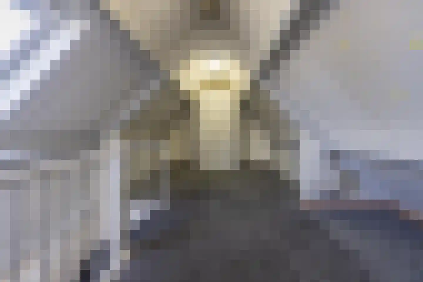 Pippelinghof 1 Maurik thumbnail 47