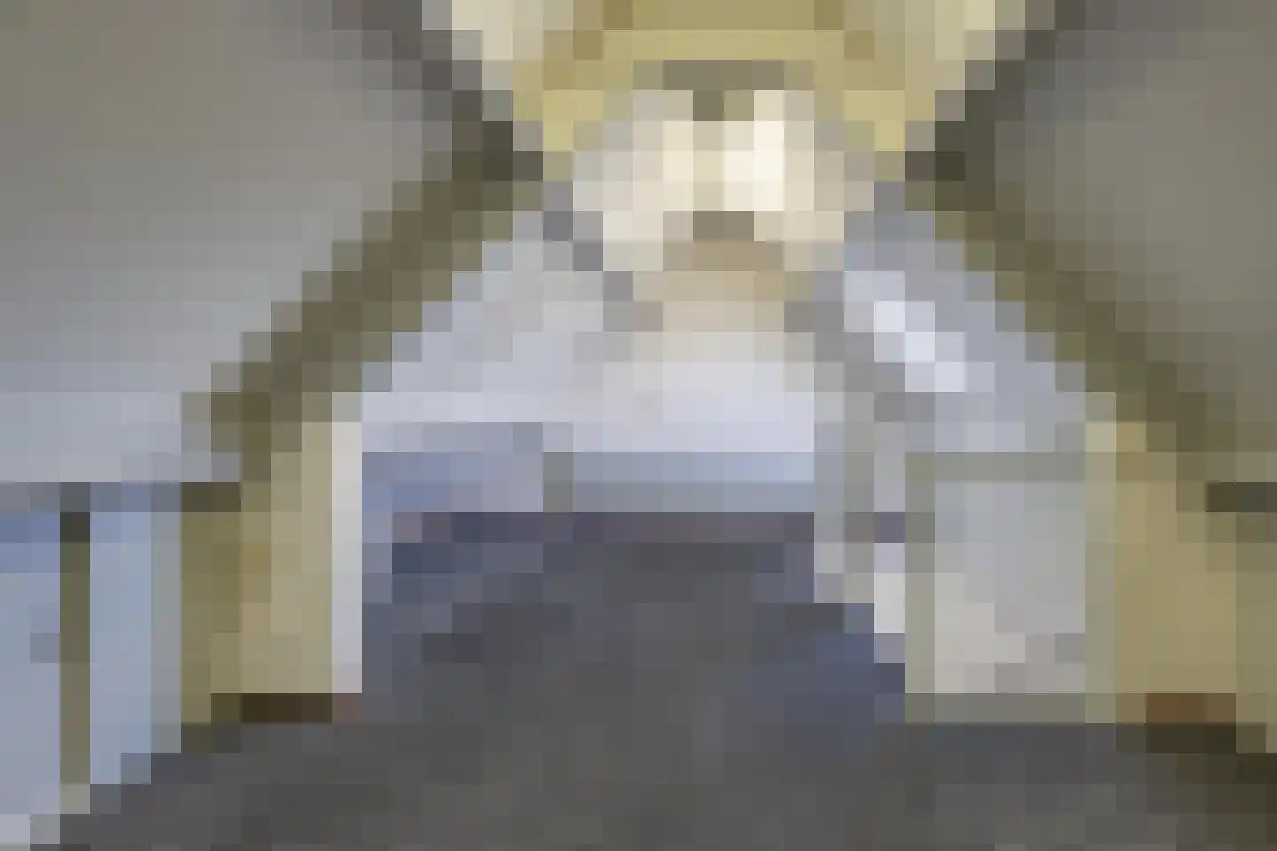 Pippelinghof 1 Maurik thumbnail 48