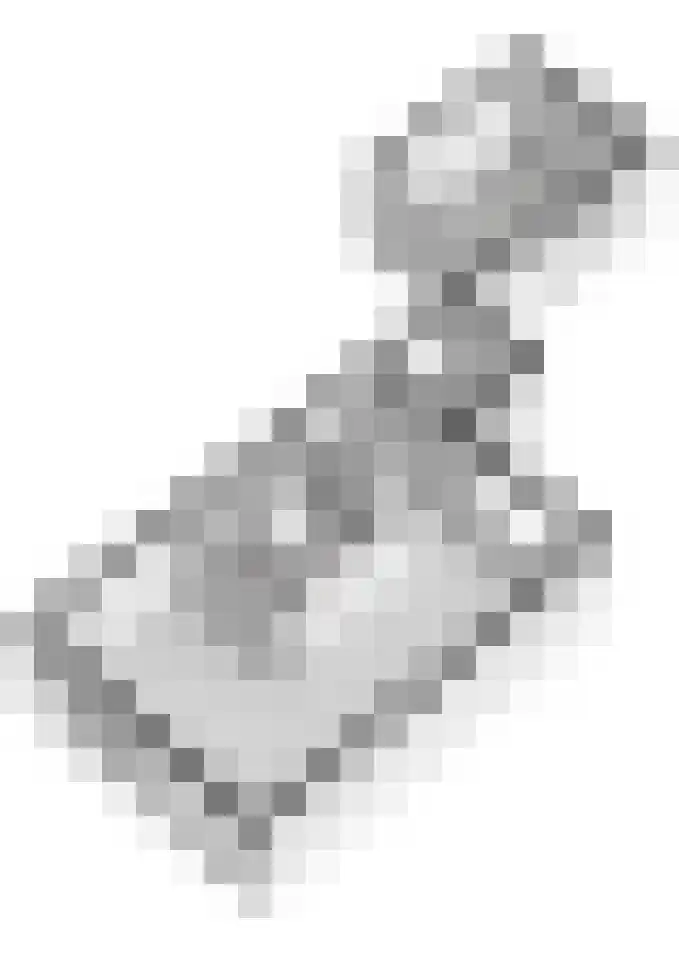 Pippelinghof 1 Maurik thumbnail 51