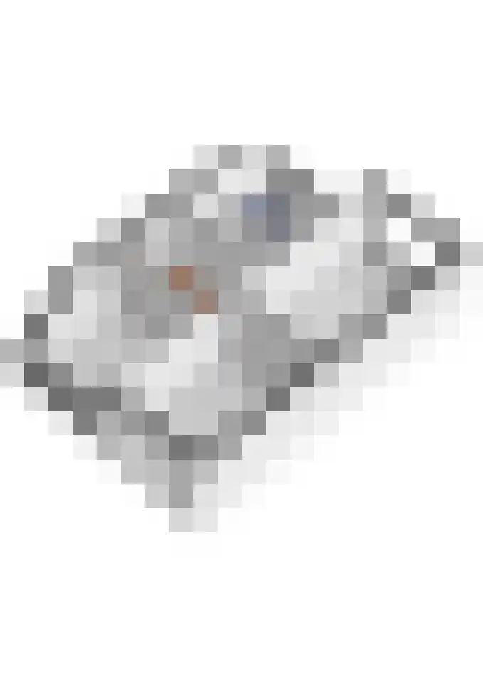Pippelinghof 1 Maurik thumbnail 53