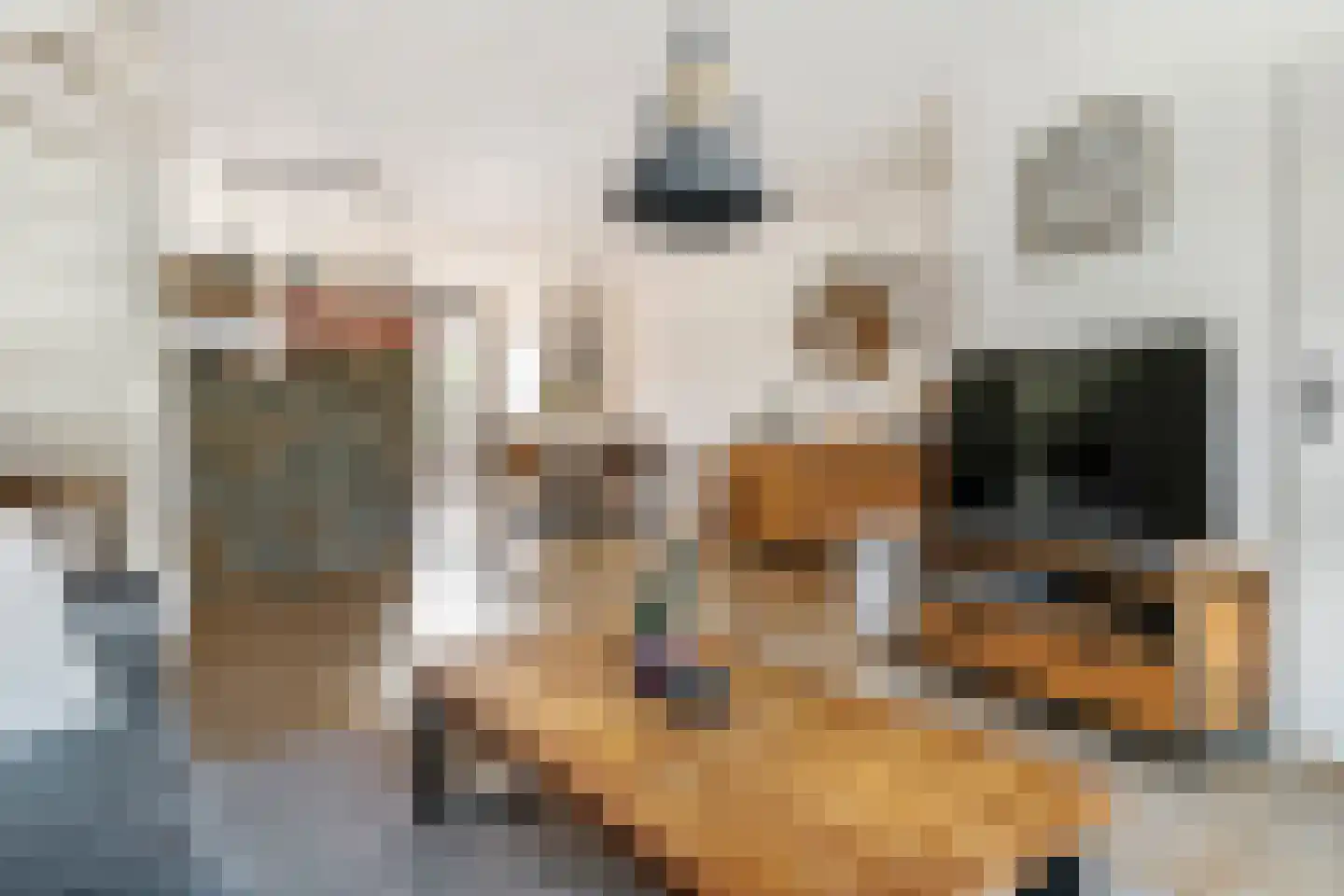 Pippelinghof 23 Maurik thumbnail 14